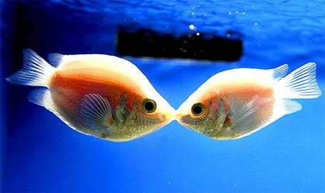 La Conciencia al Final del Camino